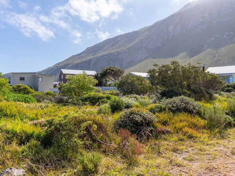 A view of a vacant residential plot featuring natural indigenous vegetation and fynbos, set against a scenic mountain backdrop.