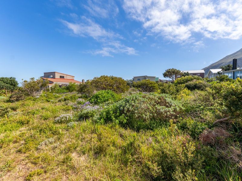 A view of a vacant residential plot featuring natural fynbos vegetation and sloped terrain, surrounded by established residential properties.