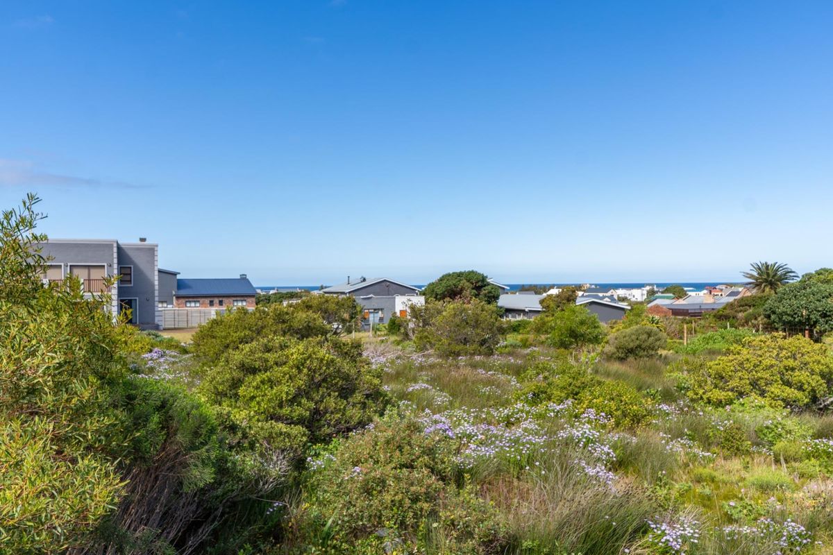 A scenic view overlooking a coastal residential area with natural indigenous vegetation in the foreground.