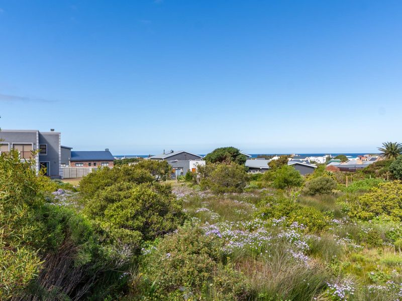 A scenic view overlooking a coastal residential area with natural indigenous vegetation in the foreground.