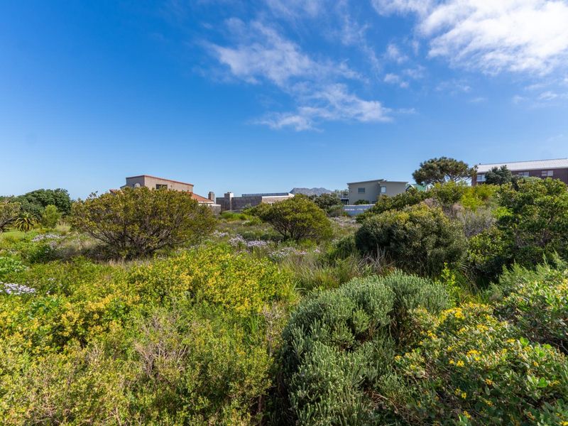 A view of a vacant residential plot featuring established native vegetation and fynbos, set within a developed coastal neighborhood.