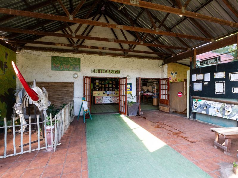 Covered entrance area featuring exposed timber roof trusses and tiled flooring, serving as the main access point to the commercial facility.