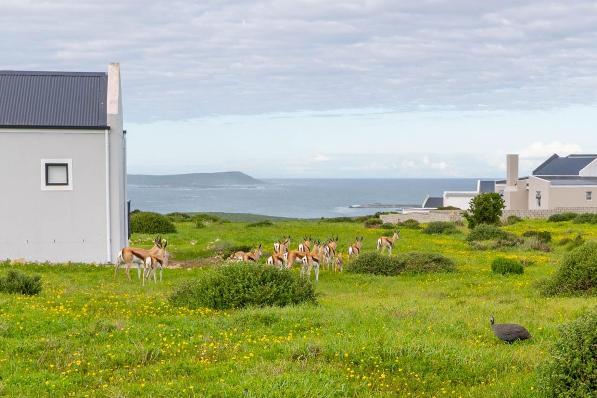 A scenic view of a coastal landscape featuring natural vegetation and distant ocean vistas, showcasing the property's tranquil and natural surroundings.