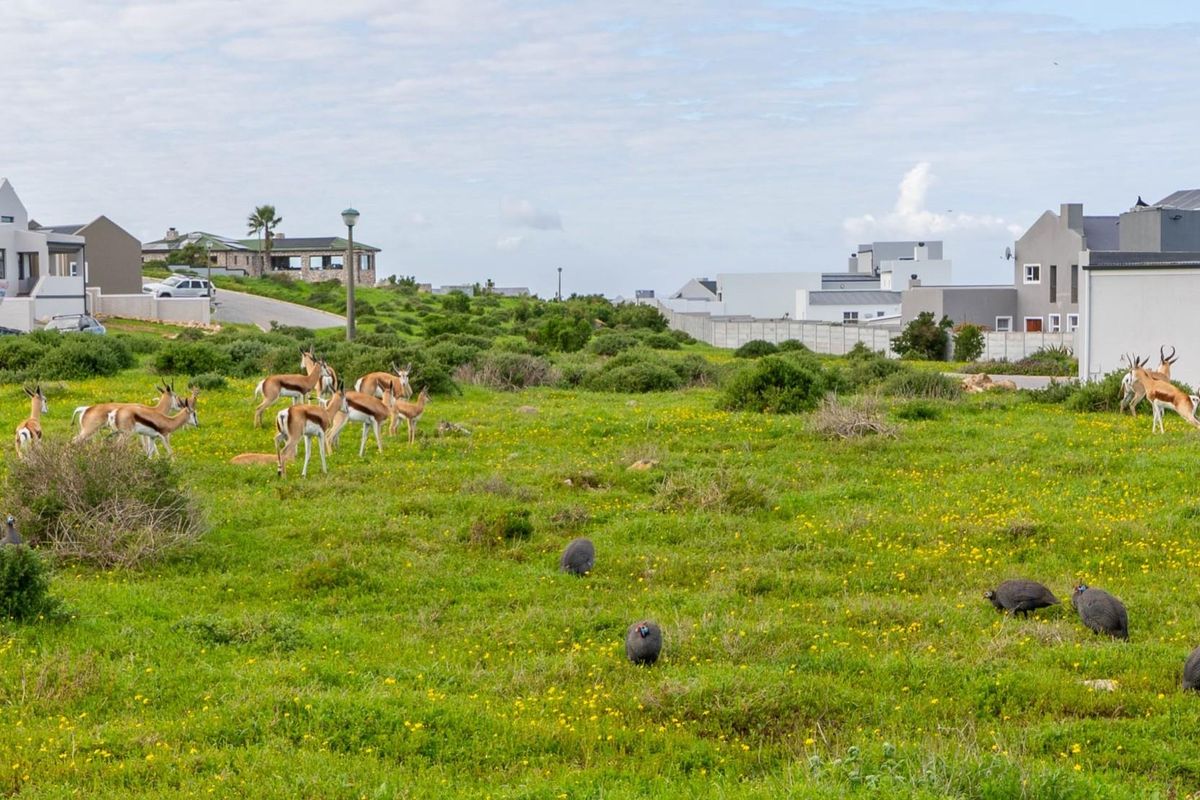 A view of a vacant residential plot featuring natural grassland and local wildlife, situated within a developed residential estate.
