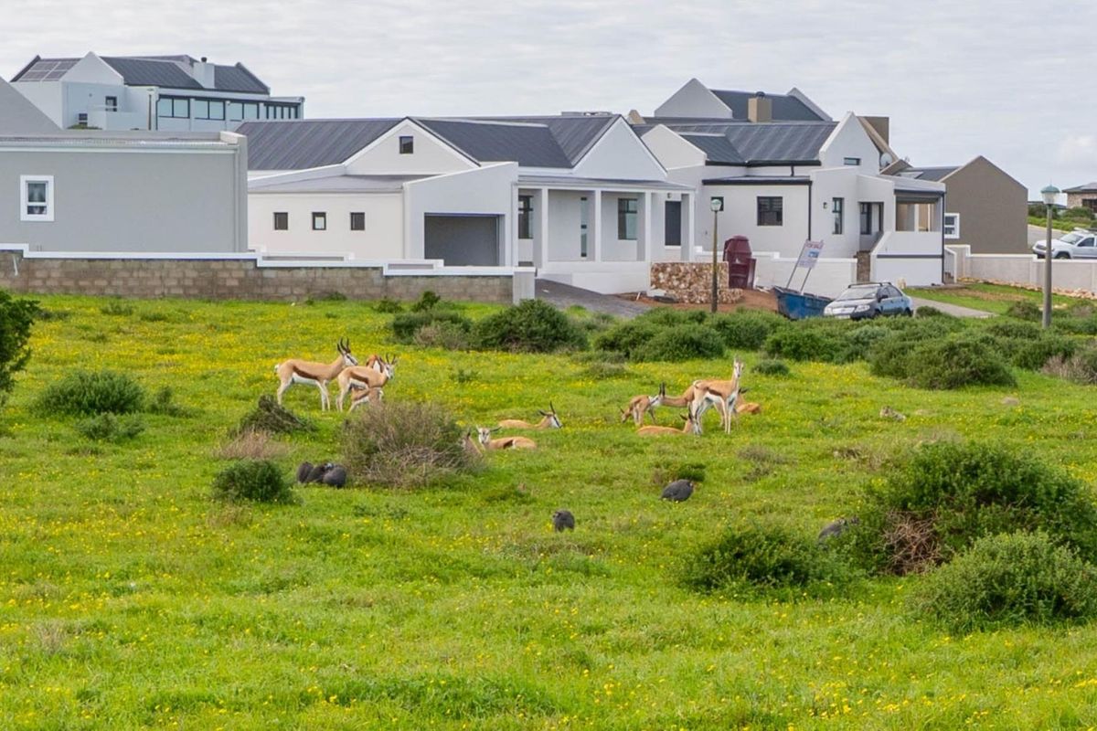 A view of a vacant residential plot featuring natural vegetation and local wildlife, situated adjacent to established modern residential properties.
