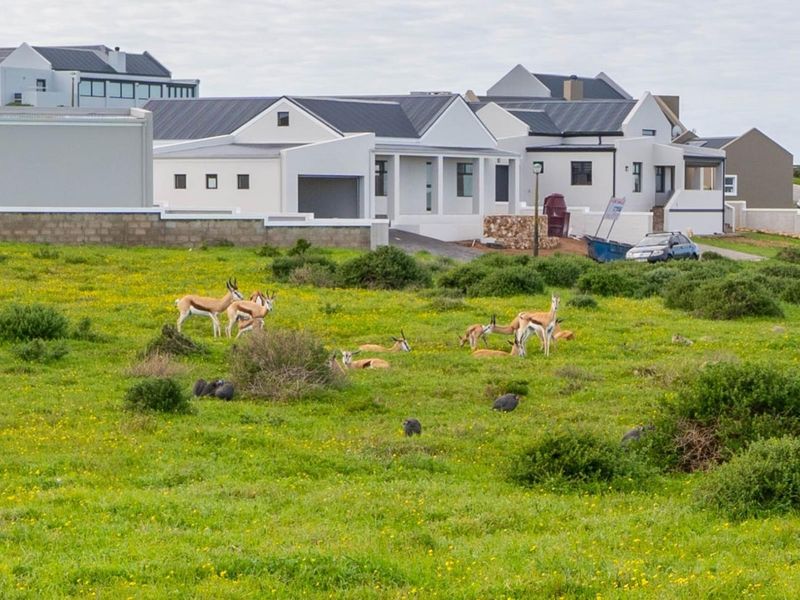 A view of a vacant residential plot featuring natural vegetation and local wildlife, situated adjacent to established modern residential properties.