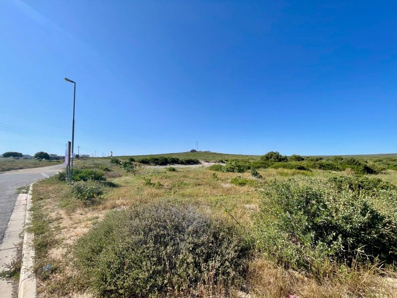 A view of a vacant residential plot featuring natural vegetation, a paved curb, and a street light.