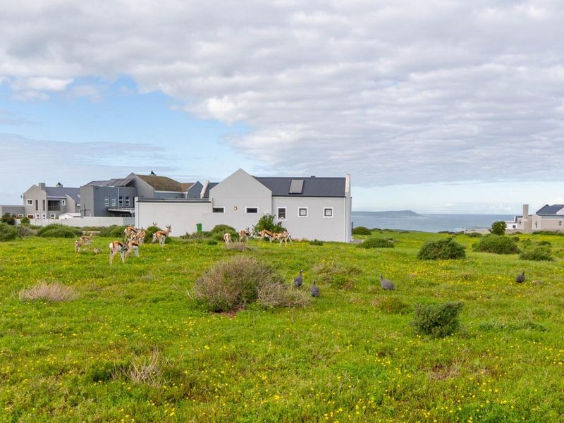 A view of a vacant residential plot featuring natural coastal vegetation and surrounding residential architecture in the distance.