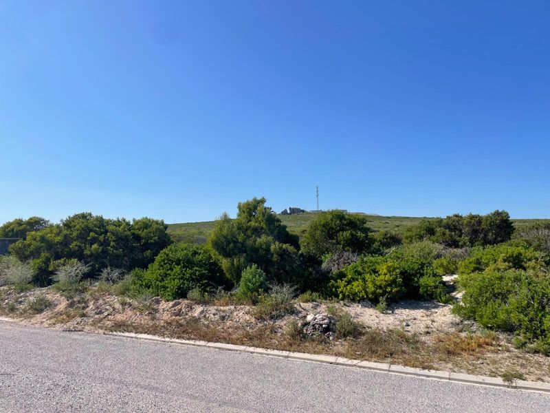 A view of the asphalt road and concrete curbing bordering a natural, undeveloped landscape with native vegetation.