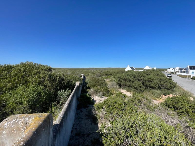 An outdoor view showing a weathered boundary wall bordering natural coastal vegetation and a nearby residential street.