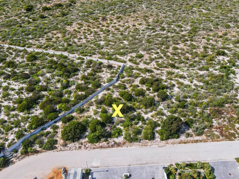 Aerial view of a vacant plot of land featuring natural coastal vegetation and a boundary wall, situated adjacent to a paved residential road.