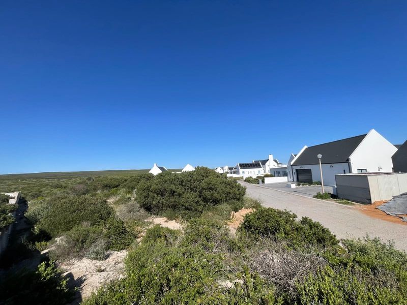 A street-level view of a modern residential estate featuring white homes with dark roofs, paved driveways, and natural coastal vegetation.