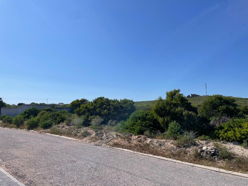 A view of the street frontage showing the asphalt road, concrete curbing, and adjacent undeveloped land with natural vegetation and a boundary wall.
