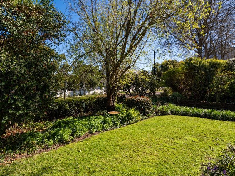 A well-maintained private garden featuring a lush green lawn, mature trees, and established perimeter hedging.
