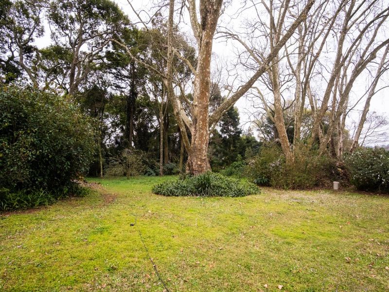 A spacious, established garden area featuring mature trees and a large lawn, providing a natural and private outdoor setting.