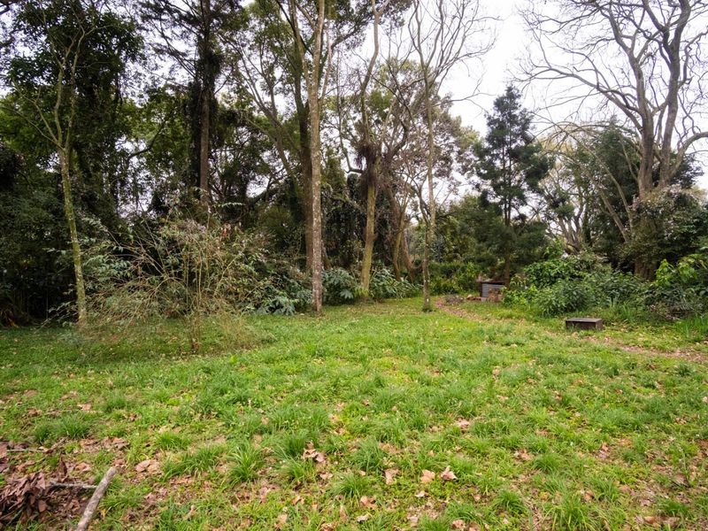 A spacious, natural garden area featuring established mature trees and a grass lawn, offering a private and tranquil outdoor setting.