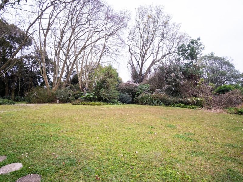 A spacious, established garden featuring a large lawn area surrounded by mature trees and dense perimeter landscaping.