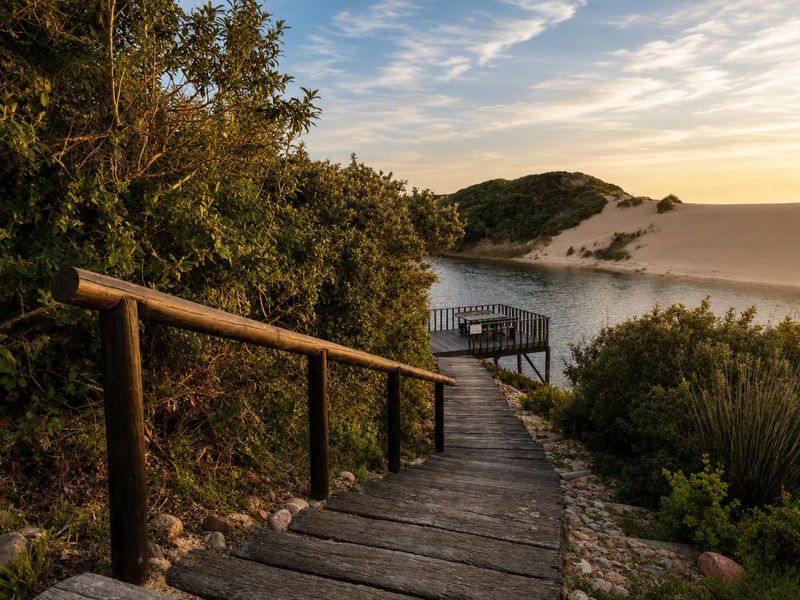 Large Stand with Uninterrupted Greenery and Distant Sea Views in Moquini Coastal Estate - Photo 6