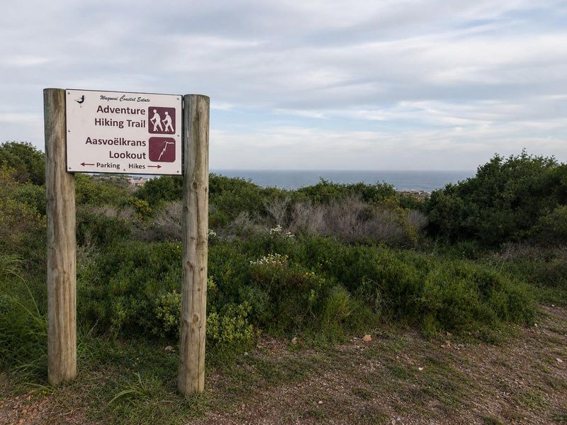 Large Stand with Uninterrupted Greenery and Distant Sea Views in Moquini Coastal Estate - Photo 9