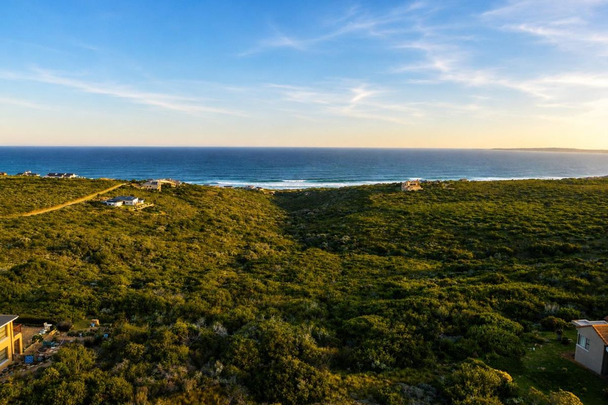 An elevated aerial view showcasing the expansive coastal landscape, natural vegetation, and scenic ocean horizon.