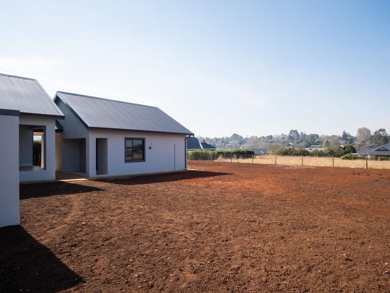 Rear view of a modern townhouse featuring a corrugated metal roof and plastered exterior walls, overlooking a large, undeveloped garden area.