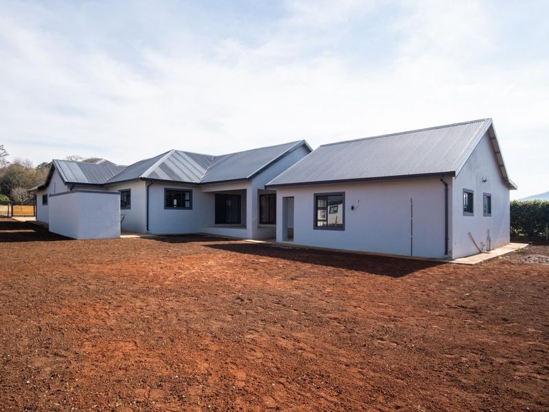 Rear view of a modern townhouse featuring a corrugated metal roof, plastered exterior walls, and an expansive unlandscaped garden area.