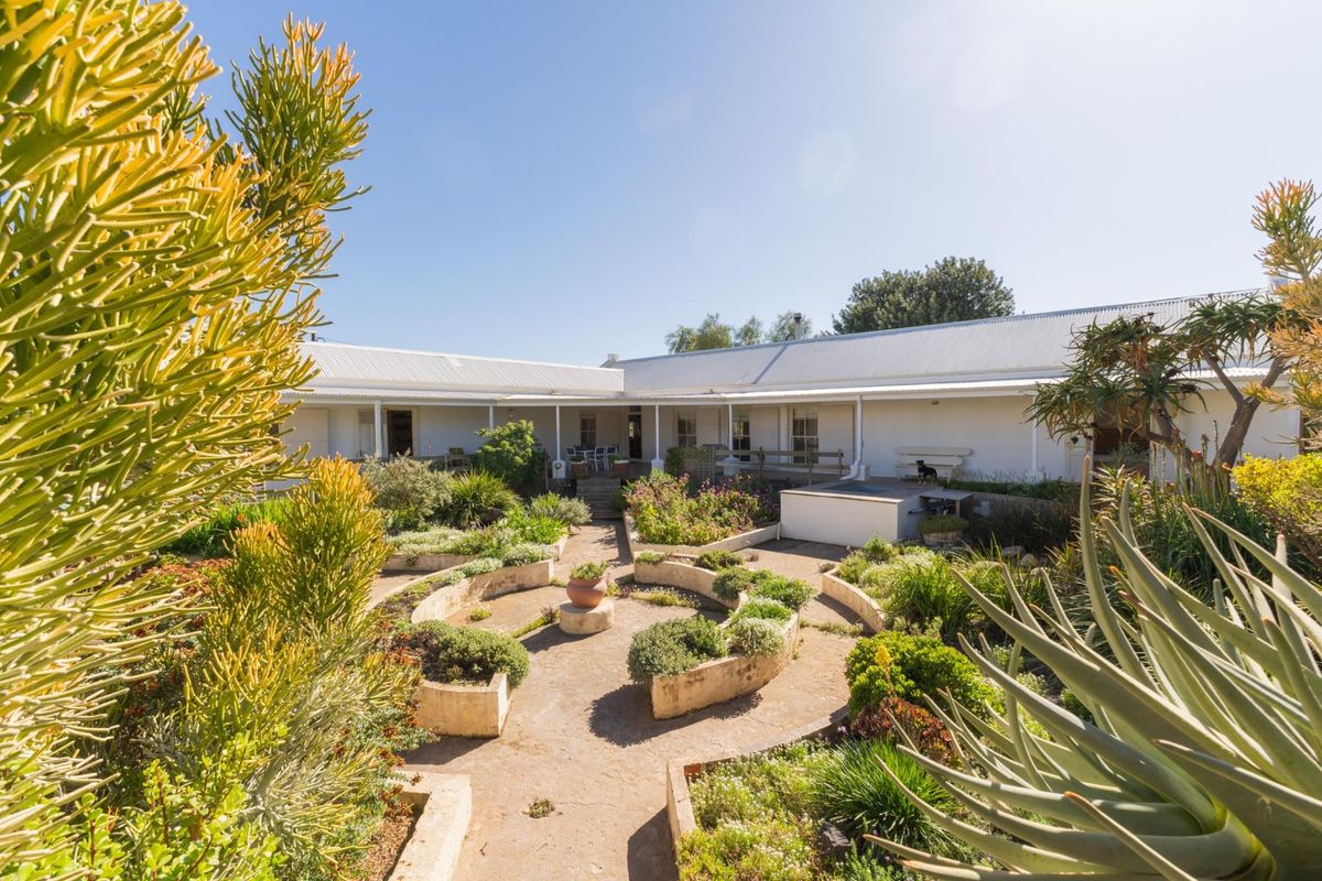 A spacious rear courtyard featuring a landscaped garden with raised beds, concrete pathways, and a covered veranda extending along the building facade.
