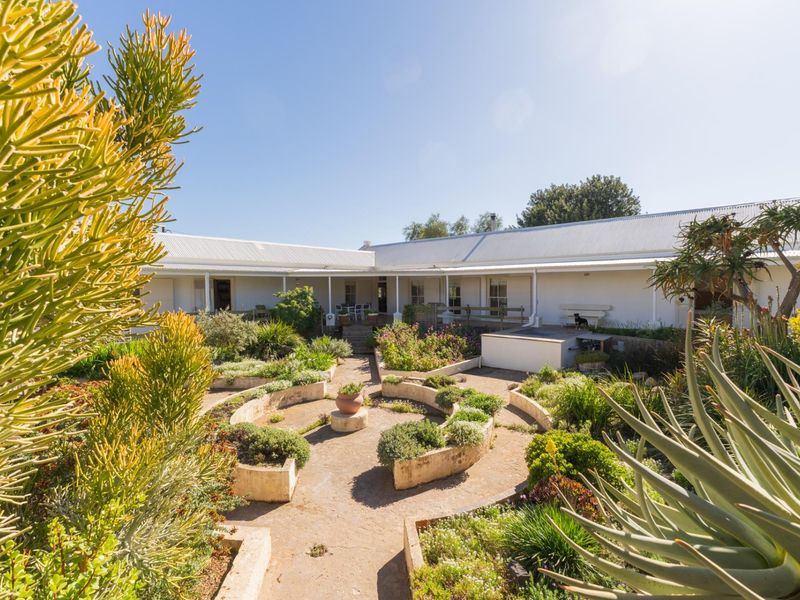 A spacious rear courtyard featuring a landscaped garden with raised beds, concrete pathways, and a covered veranda extending along the building facade.