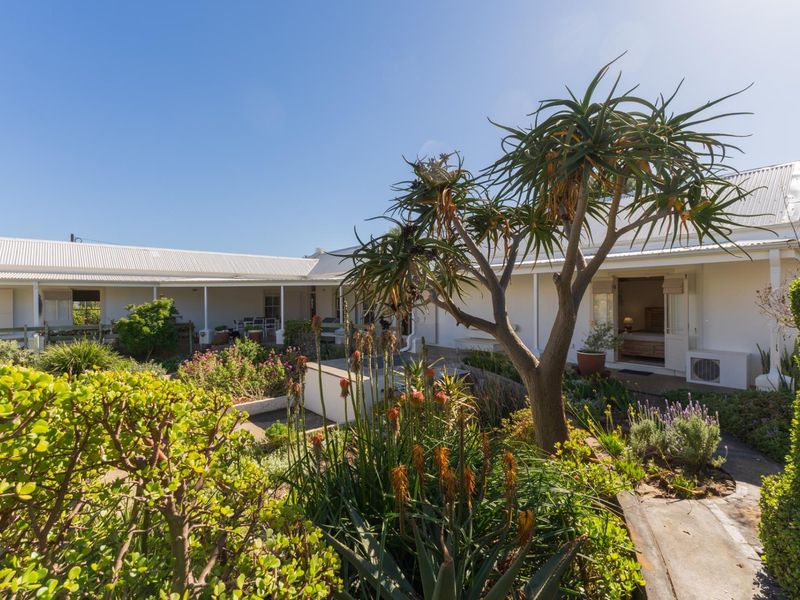 A well-maintained rear garden featuring a landscaped courtyard, paved pathways, and a covered patio area attached to the main house structure.