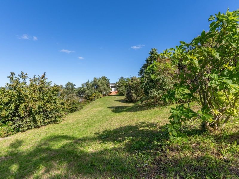 A view of a sloped residential plot featuring established trees and a grass lawn under a clear blue sky.