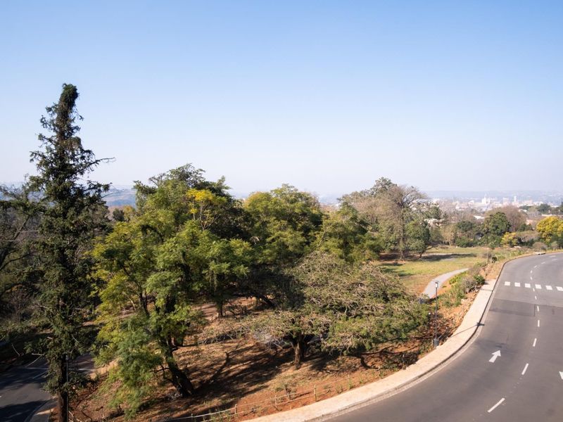 An elevated view overlooking a landscaped green belt, mature trees, and a winding suburban road.