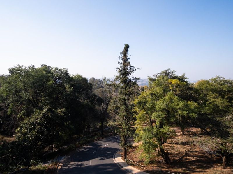 An elevated view overlooking a winding asphalt road surrounded by mature trees and natural landscape.