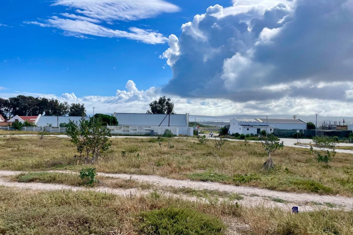 A vacant residential plot of land featuring natural vegetation and boundary fencing, situated in a developed neighborhood setting.
