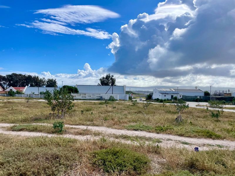 A vacant residential plot of land featuring natural vegetation and boundary fencing, situated in a developed neighborhood setting.