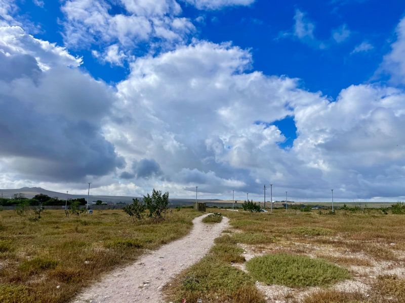 A view of a vacant residential plot featuring natural vegetation, a dirt pathway, and existing utility infrastructure under a cloudy sky.