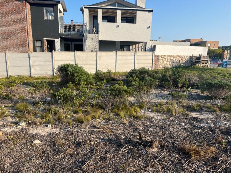 A vacant residential plot featuring natural vegetation, enclosed by a precast concrete boundary wall and stone-clad perimeter walling.