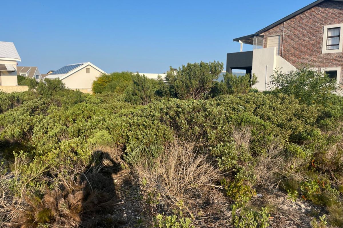 A vacant residential plot covered in native fynbos vegetation, situated adjacent to existing residential properties.
