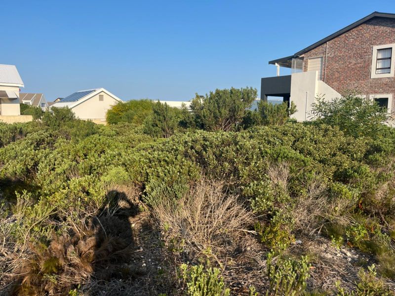 A vacant residential plot covered in native fynbos vegetation, situated adjacent to existing residential properties.