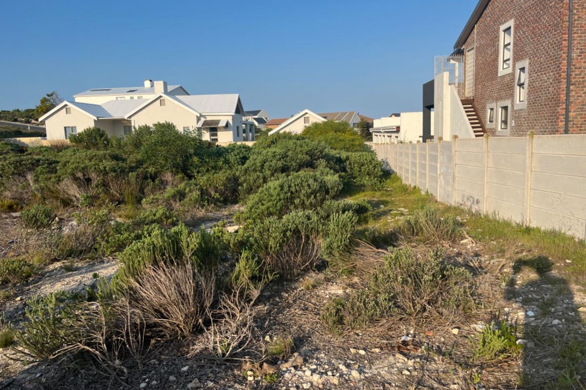 A view of a vacant residential plot featuring native vegetation and a precast concrete boundary wall, situated in a developed neighborhood.