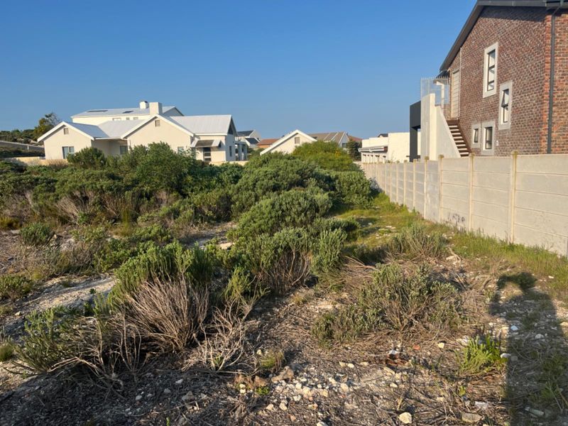 A view of a vacant residential plot featuring native vegetation and a precast concrete boundary wall, situated in a developed neighborhood.