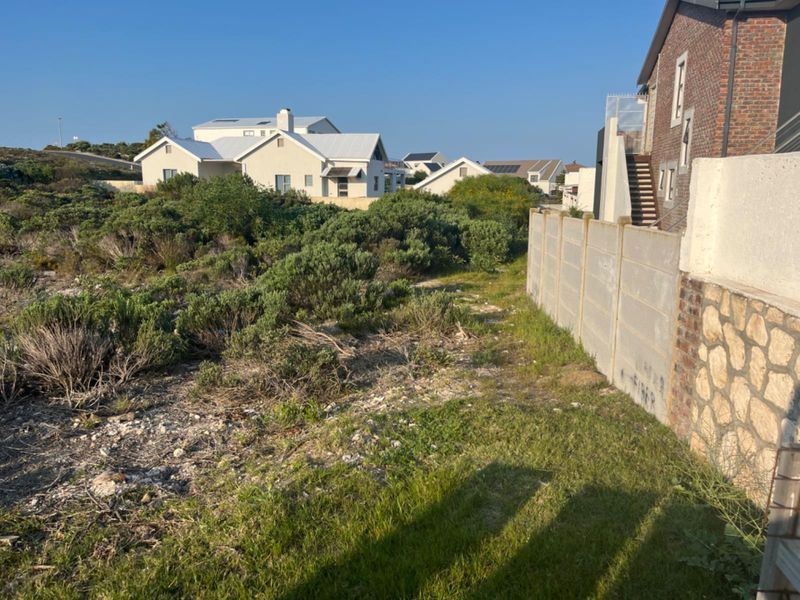 A view of a vacant residential plot featuring native vegetation and a precast concrete boundary wall with stone cladding accents.