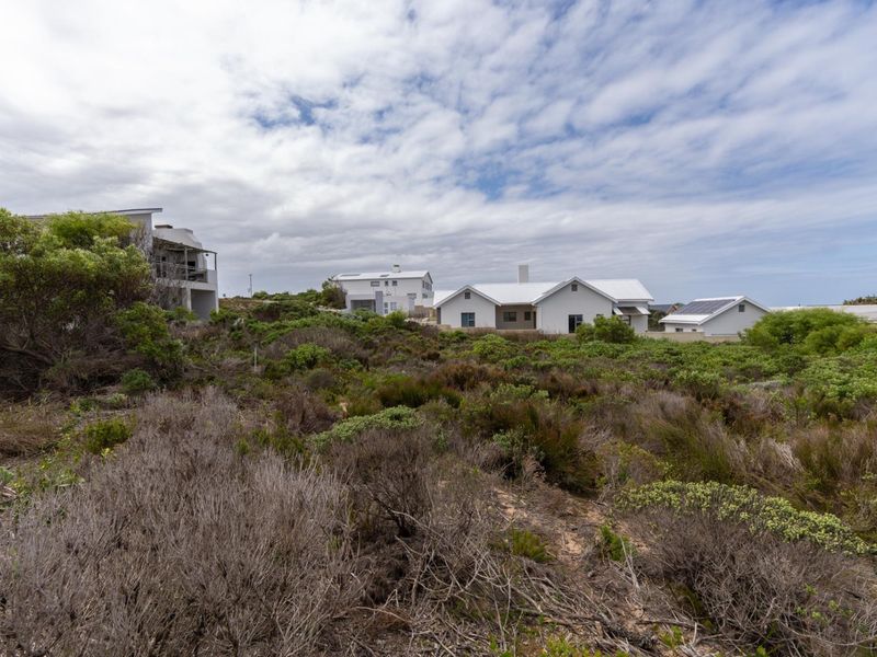 A vacant residential plot covered in native coastal vegetation, offering a view of established neighbouring homes in a quiet residential area.