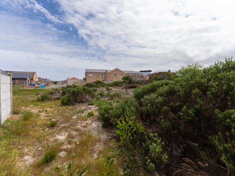 A vacant residential plot featuring native vegetation and a precast concrete boundary wall, situated in a developed neighborhood.