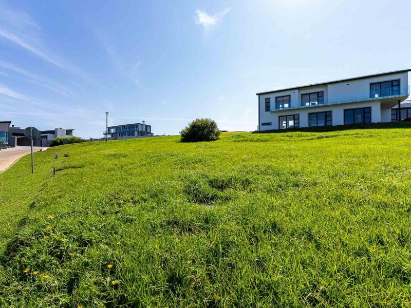 A view of a vacant residential plot featuring a grassy lawn with a paved driveway and neighboring modern homes in the background.