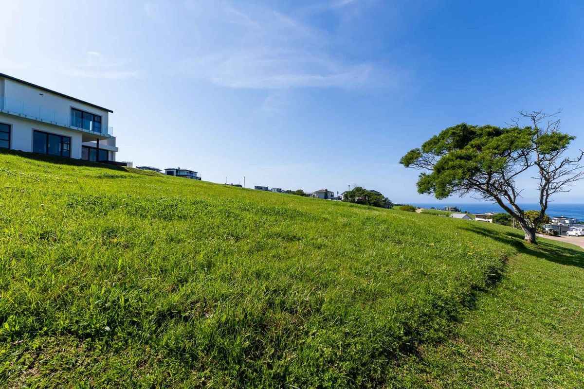 A view of a sloped, grassy vacant residential plot with a mature tree and distant ocean views.