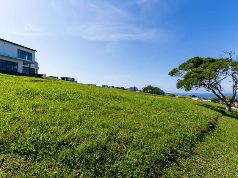 A view of a sloped, grassy vacant residential plot with a mature tree and distant ocean views.