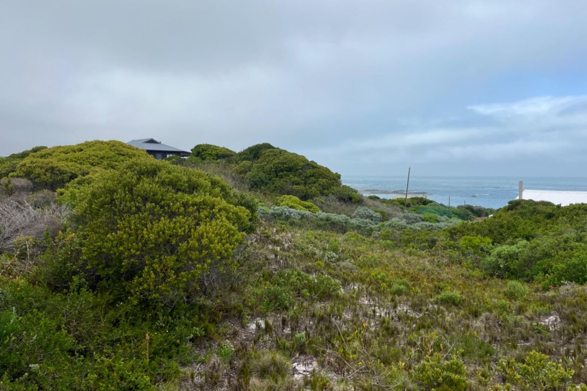 A scenic view of the coastal landscape featuring native vegetation and a distant ocean horizon.