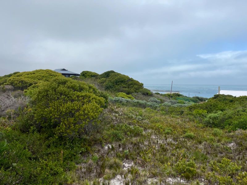 A scenic view of the coastal landscape featuring native vegetation and a distant ocean horizon.