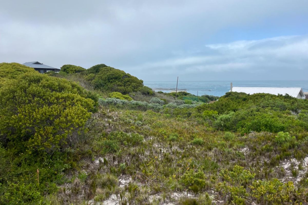 A view of the coastal landscape and ocean from the vacant residential property, featuring natural vegetation and sandy terrain.