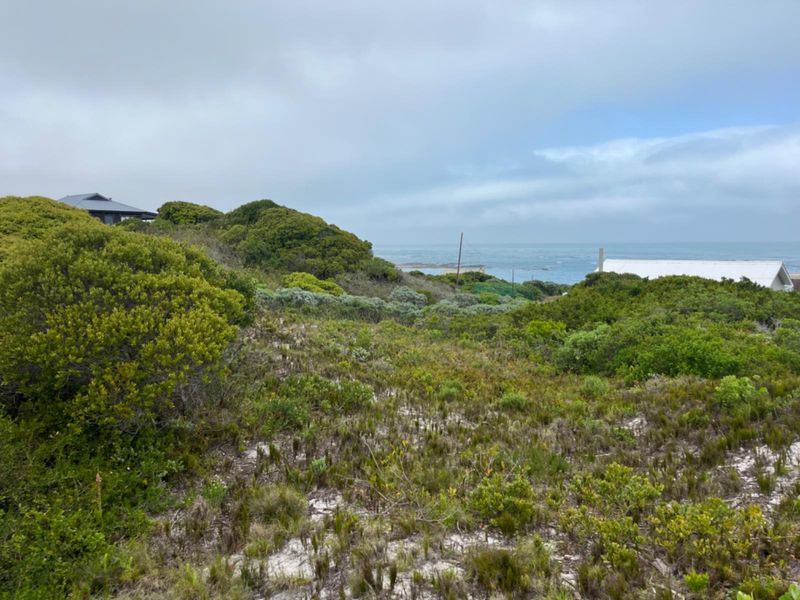 A view of the coastal landscape and ocean from the vacant residential property, featuring natural vegetation and sandy terrain.